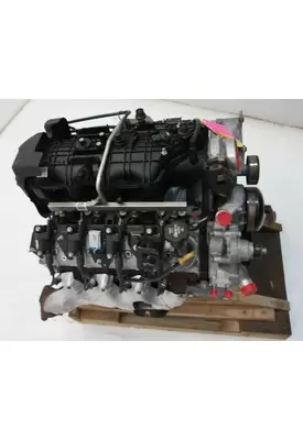 GM/Chev (HD) V8, 4.8L, Gas Engine Assembly