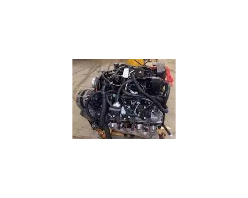 GM/Chev (HD) V8, 4.8L, Gas Engine Assembly