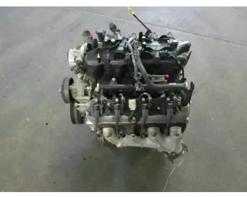 GM/Chev (HD) V8, 4.8L, Gas Engine Assembly