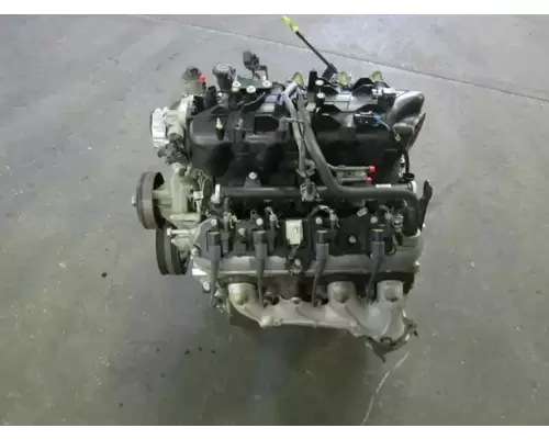 GM/Chev (HD) V8, 4.8L, Gas Engine Assembly