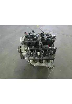 GM/Chev (HD) V8, 4.8L, Gas Engine Assembly