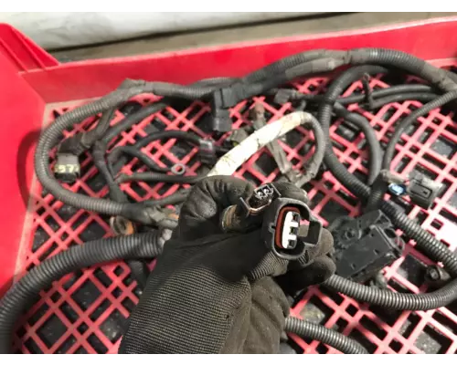 GMC C6500 Body Wiring Harness