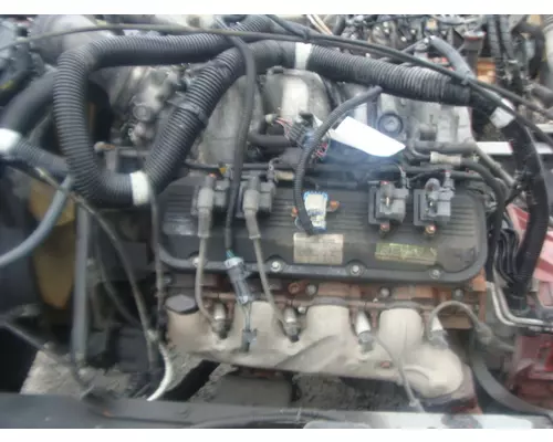 GM 8.1 L Engine Assembly