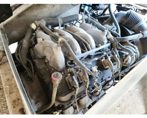 Engine Assembly GM/Chev (HD) 8.1L Complete Recycling Group LLC