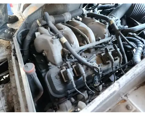 Engine Assembly GM/Chev (HD) 8.1L Complete Recycling Group LLC