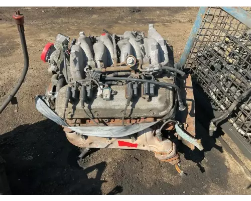 Engine Assembly GM/Chev (HD) 8.1L GAS Complete Recycling