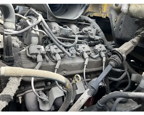 Oil Pump GM 8.1 DTI Trucks