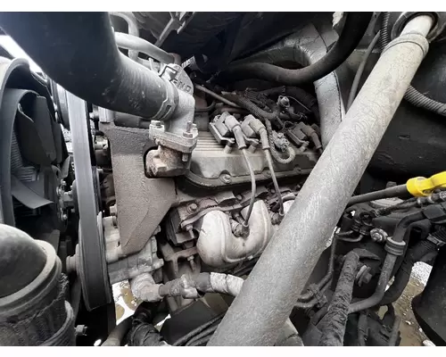 Cylinder Head GM 8.1 DTI Trucks