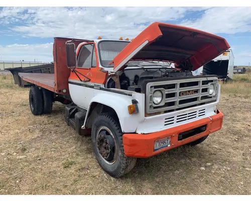 Door Assembly, Front GMC C6000 Holst Truck Parts