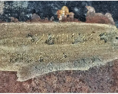 HENDRICKSON STK120 (NXT) Axle Assembly, Front (Steer)