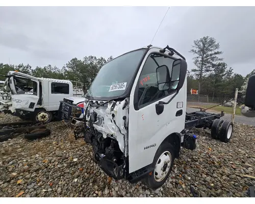 Door Assembly, Front HINO 195 Crest Truck Parts