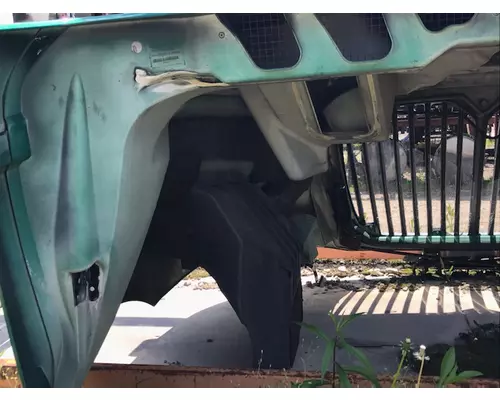 IHC PROSTAR Hood