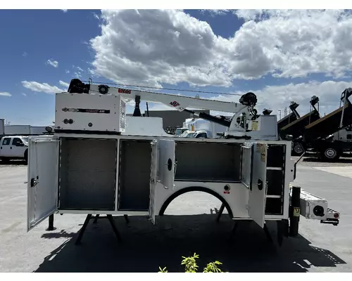 IMT 11