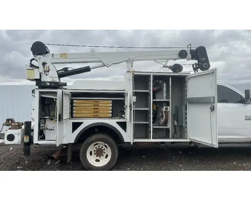 IMT 11