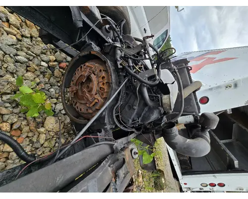 INTERNATIONAL 1652-SC Filter  Water Separator