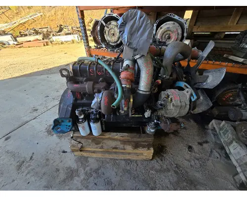 INTERNATIONAL 1754 Alternator