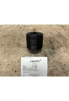 INTERNATIONAL 2510652C1 Air Spring