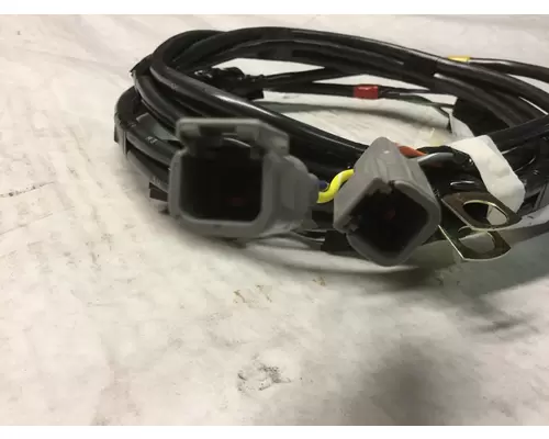 INTERNATIONAL 2554 WIRING HARNESS, BODY