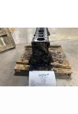 INTERNATIONAL 3012887C3 Cylinder Block