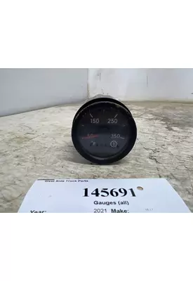 INTERNATIONAL 4061135C2 Gauges (all)