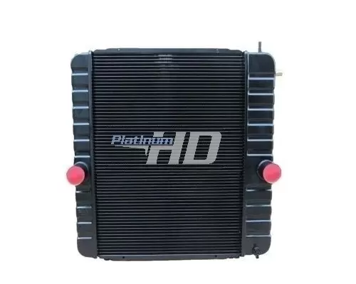 INTERNATIONAL 4200 RADIATOR ASSEMBLY