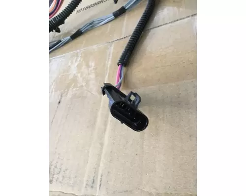 INTERNATIONAL 4200 WIRING HARNESS, BODY