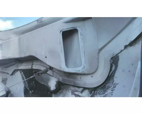 INTERNATIONAL 4300 2002-2009 HOOD