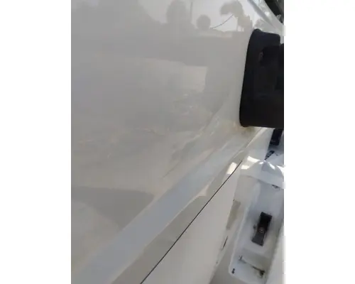 INTERNATIONAL 4300 2002-2020 DOOR ASSEMBLY, FRONT