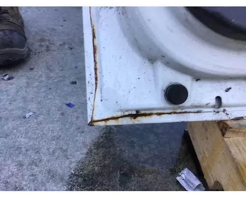 INTERNATIONAL 4300 2002-2020 DOOR ASSEMBLY, FRONT