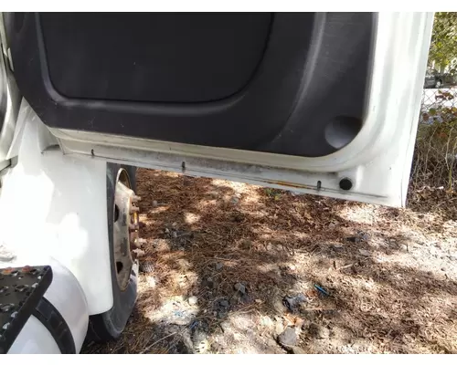 INTERNATIONAL 4300 2002-2020 DOOR ASSEMBLY, FRONT