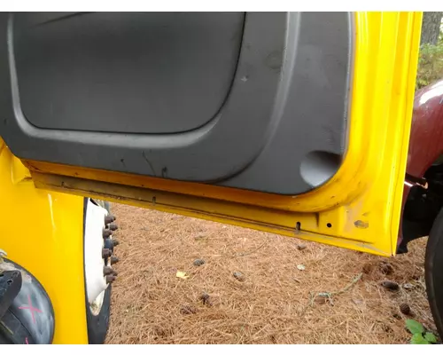 INTERNATIONAL 4300 2002-2020 DOOR ASSEMBLY, FRONT