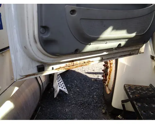 INTERNATIONAL 4300 2002-2020 DOOR ASSEMBLY, FRONT