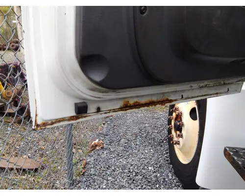 INTERNATIONAL 4300 2002-2020 DOOR ASSEMBLY, FRONT