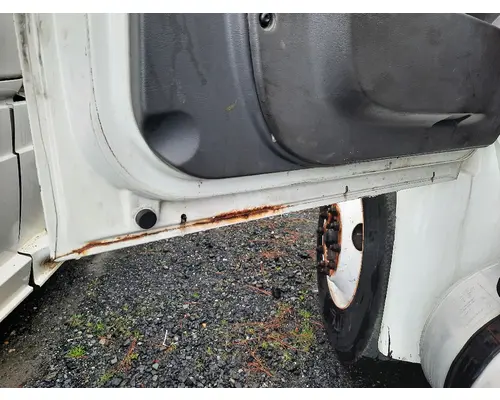 INTERNATIONAL 4300 2002-2020 DOOR ASSEMBLY, FRONT
