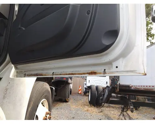 INTERNATIONAL 4300 2002-2020 DOOR ASSEMBLY, FRONT