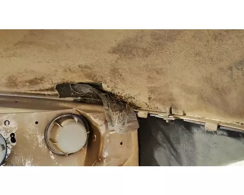 INTERNATIONAL 4300V Hood