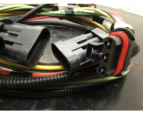 INTERNATIONAL 4300 Body Wiring Harness