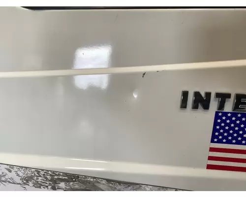 INTERNATIONAL 4300 Door Assembly, Front