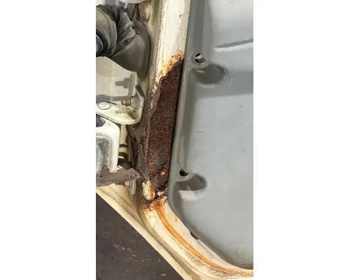 INTERNATIONAL 4300 Door Assembly, Front