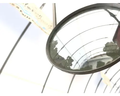INTERNATIONAL 4300 Door Mirror