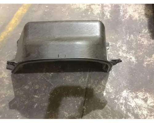 INTERNATIONAL 4300 Door Panel (Trim)