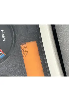 INTERNATIONAL 4300 Door Panel (Trim)