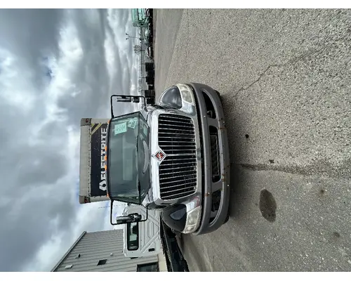 INTERNATIONAL 4300 Door Panel (Trim)