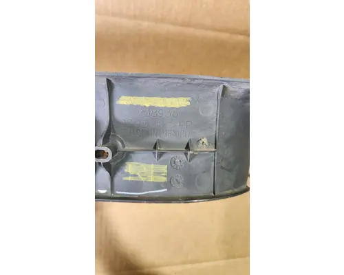 INTERNATIONAL 4300 Door Panel (Trim)