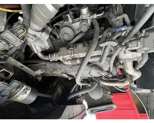 INTERNATIONAL 4300 Engine Assembly (CORE)