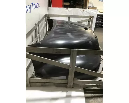 INTERNATIONAL 4300 HOOD ASSEMBLY