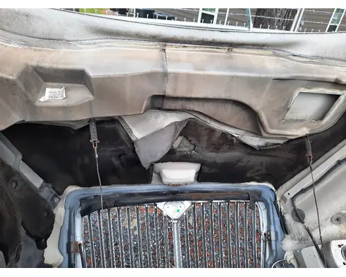 INTERNATIONAL 4300 HOOD