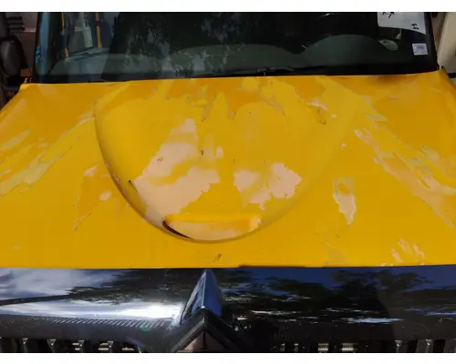 INTERNATIONAL 4300 HOOD