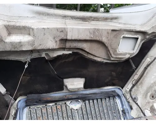 INTERNATIONAL 4300 HOOD