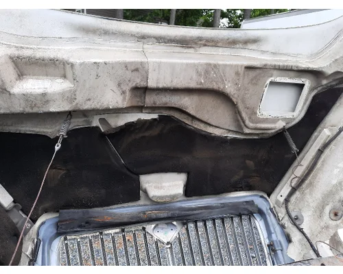 INTERNATIONAL 4300 HOOD